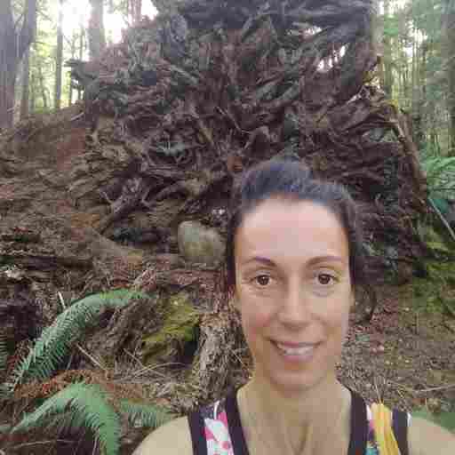 shiatsu and reflexology LifeChangeShiatsu