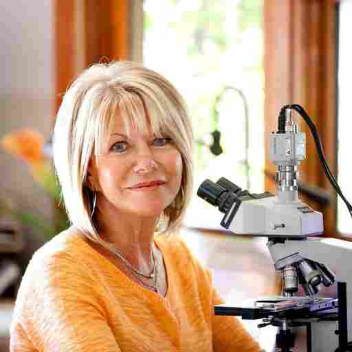 Natural Health and Nutrition, Root Causes of Disease, Detoxing and Cleansing, and Live and Dry Blood Cell Analysis Building Bridges to Health Naturally