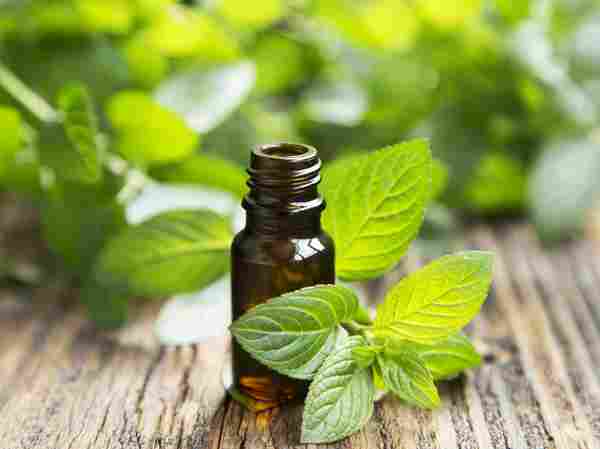 WD_OilsforColdandFlu_CM_08_122020.jpg