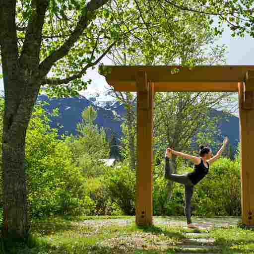 Yoga and Ayurveda The Wild Yoga Collective