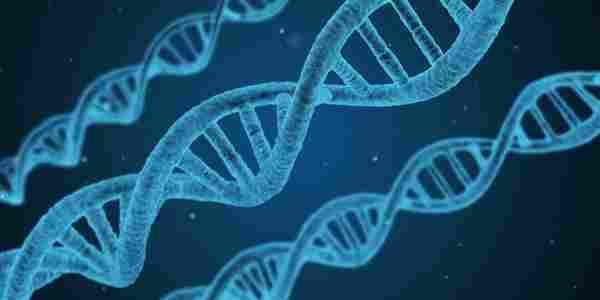 Whichdoctor_Genetics_CM_01_082020.jpg