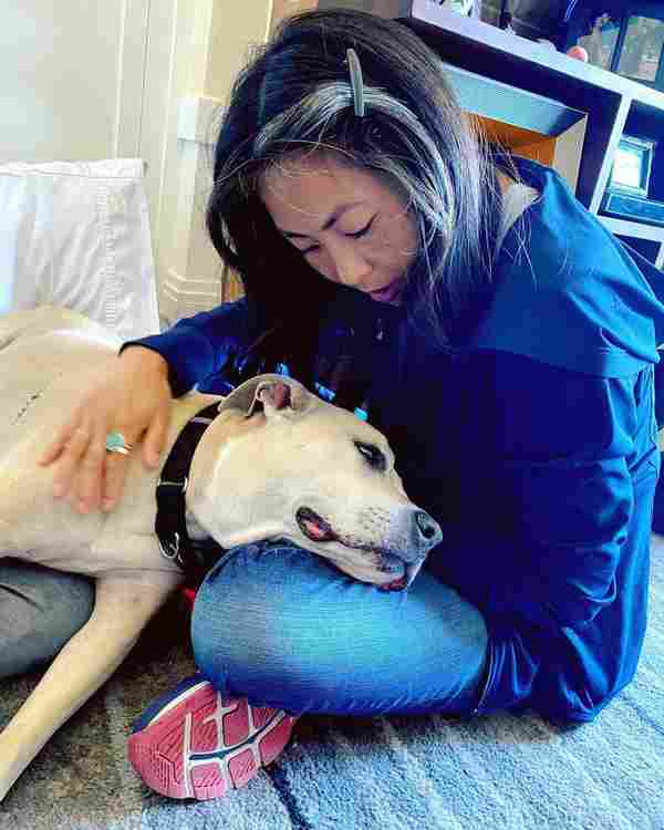 WD_AnimalReiki_CM_01_112020.jpg