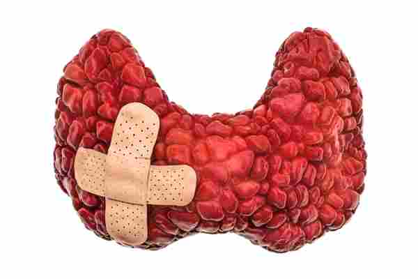 WD_Reflexology_CM_07_112020.jpg