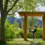 The Wild Yoga Collective