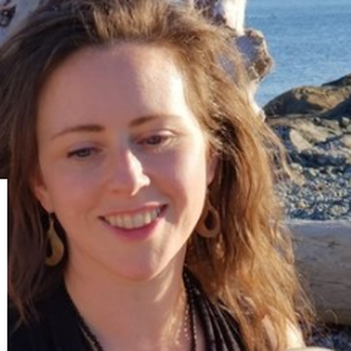 Bio-Energy Practitioner Reiki Drum Healing Live Light Energy Healing