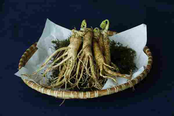 ginseng.jpg