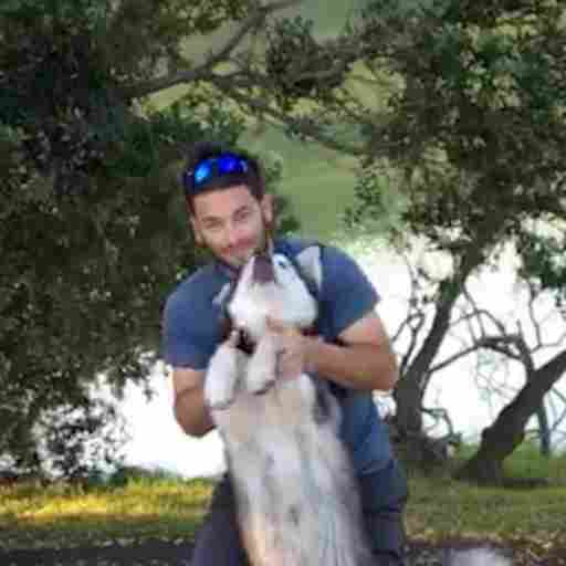 Reiki CHIMERA San Francisco