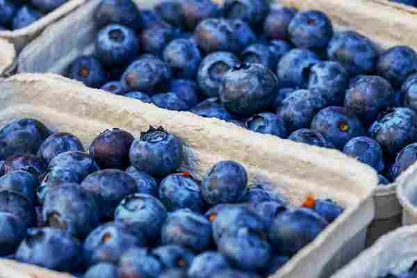 WD_LungFood_CM_01_112020.jpg