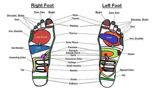 WD_Reflexology_CM_03_112020.jpg