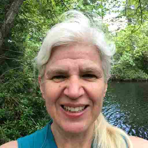 Creative Writing Coach for Introverts, Writers and Artists Maria Koropecky and/or Ammolite Wellness Coaching