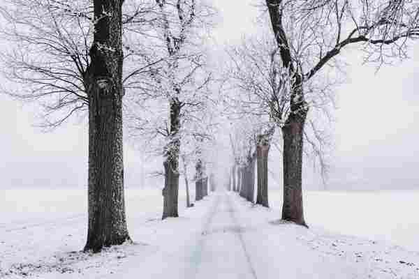 WD_WinterFit_CM_02_112020.jpg