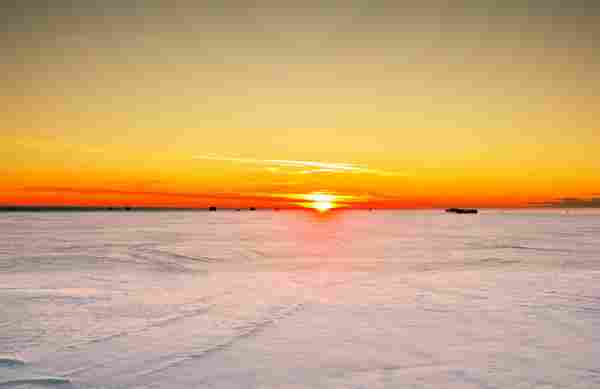 WD_Solstice_CM_06_122020.jpg