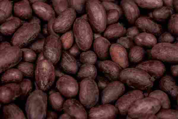 WD_Chocolate_CM_06_042021.jpg