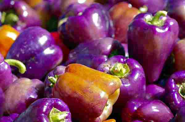 WD_PurpleFood_CM_03_012021.jpg