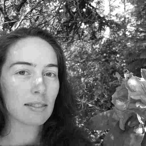 Reflexology  Reiki  Bowen Therapy Massage Janine Croxall