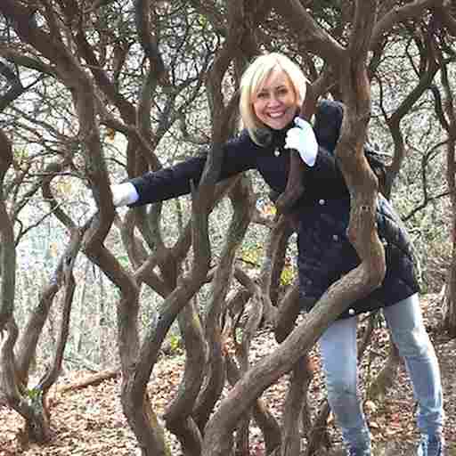 Homeopathy Transformative Medicine