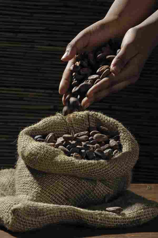 WD_Coffee_CM_08_112020.jpg