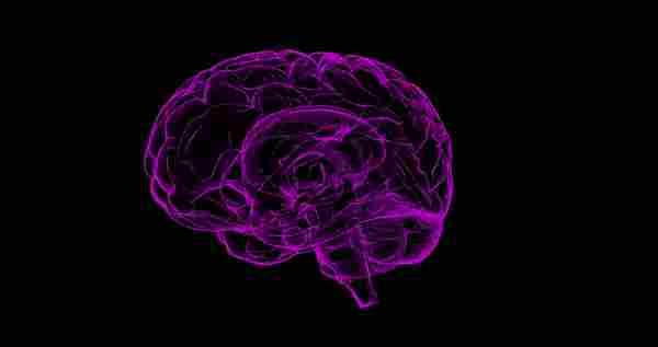Brain (1).jpg