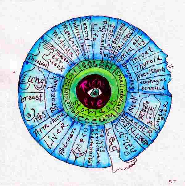 Whichdoctor_Iridology_ST_01_082020.jpeg