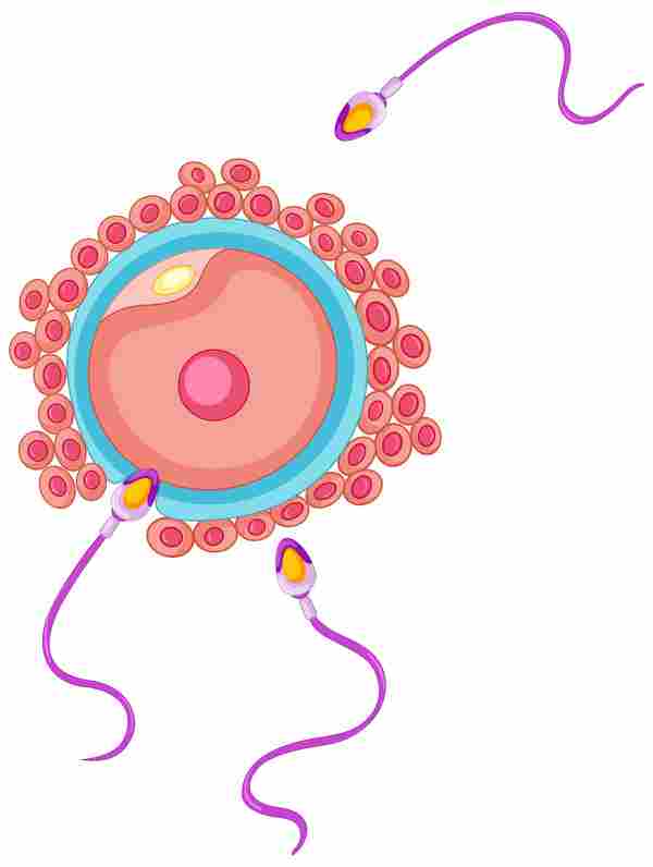 WhichDoctor_AthenaReich_ST_06_082020.jpg