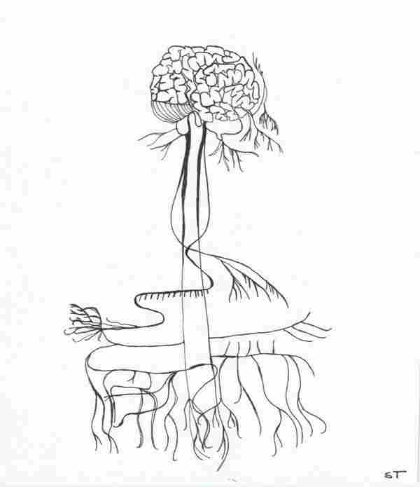 WD_VagusNerve_ST_06_112020.jpg