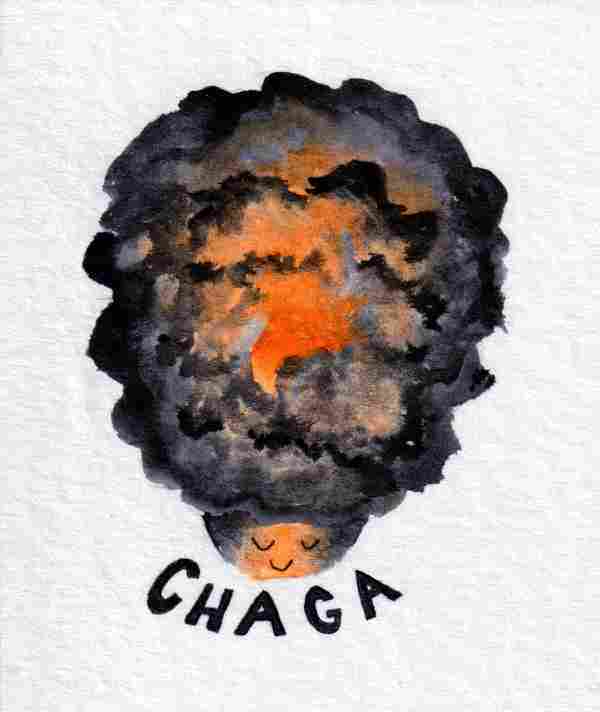 chaga3.jpeg