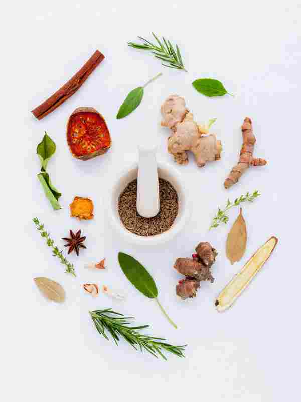 Ayurveda3.jpg
